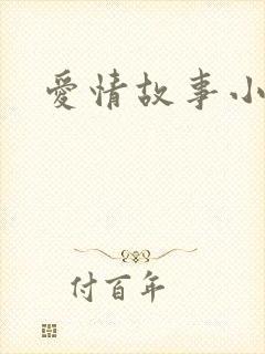 爱情故事小说封面