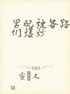 男配被各路大佬们爆炒封面