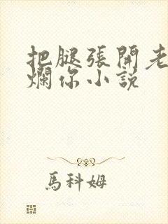 把腿张开老子臊烂你小说