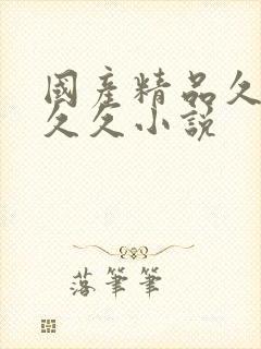 国产精品久久久久久小说