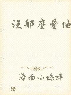 没那么爱他封面