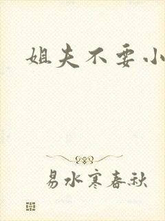 姐夫不要小说