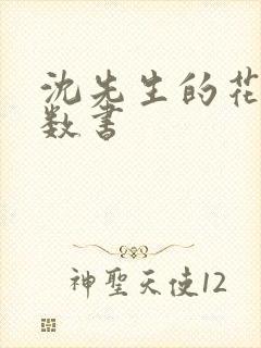 沈先生的花式调数书