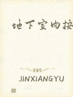 地下室肉按摩椅封面