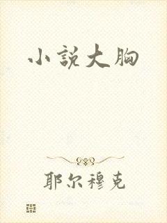 小说大胸