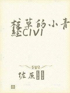 校草的小青梅不经C1V1