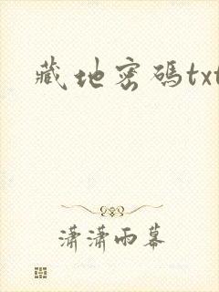 藏地密码txt封面