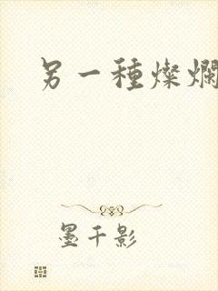 另一种灿烂生活