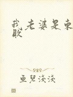 我老婆是东方不败封面