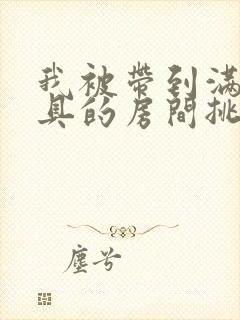 我被带到满是玩具的房间挑调作文