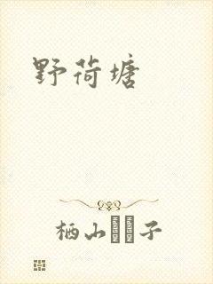 野荷塘封面