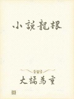 小说龙根