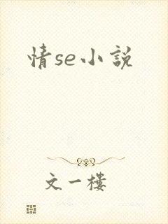 情se小说