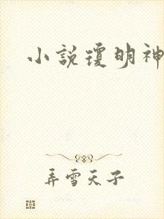 小说琼明神女录