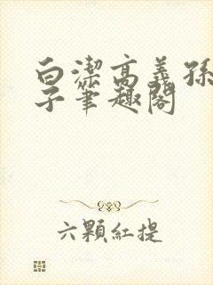 白洁高义孙倩东子笔趣阁封面