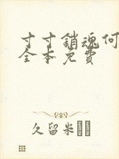 寸寸销魂何生祥全本免费