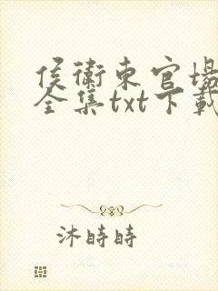 侯卫东官场笔记全集txt下载