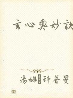 玄心奥妙诀封面