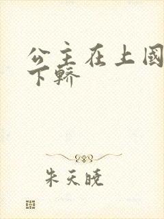 公主在上国师请下轿