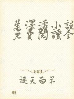 叶泽涛小说全文免费阅读全文