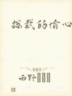 总裁的偷心娇妻封面