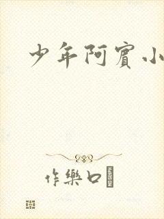 少年阿宾小说
