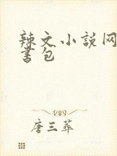 辣文小说网第二书包