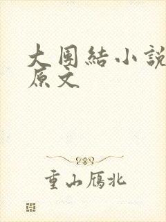 大团结小说阅读原文