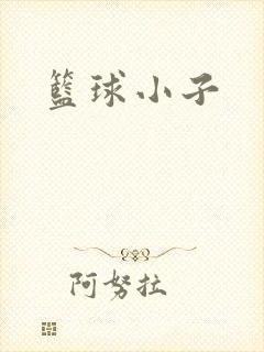 篮球小子封面