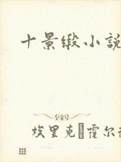 十景缎小说
