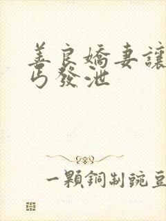 善良娇妻让老乞丐发泄封面