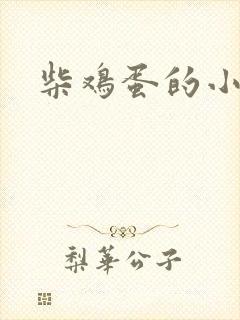 柴鸡蛋的小说