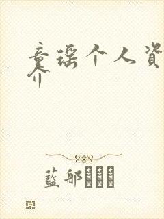 童瑶个人资料简介