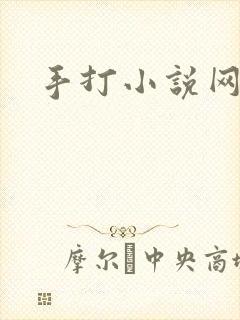 手打小说网