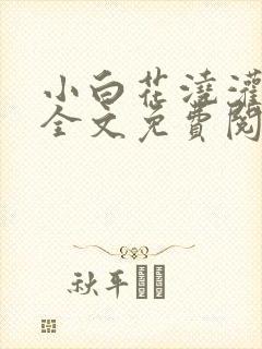 小白花浇灌日常全文免费阅读