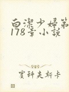 白洁少妇第1一178章小说封面