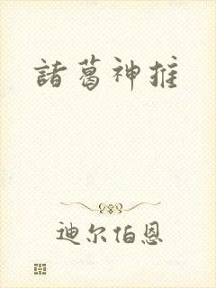 诸葛神推封面