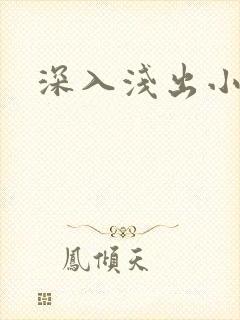 深入浅出小说