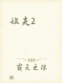 姐夫2封面