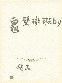 白璧微瑕by连翘封面