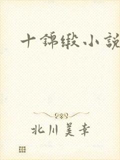 十锦缎小说