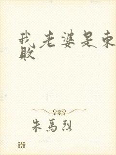 我老婆是东方不败