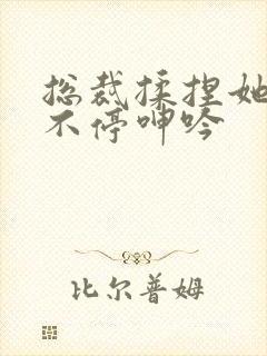 总裁揉捏她两乳不停呻吟封面