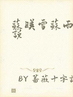 苏映雪苏雨柔小说封面