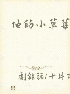 他的小草莓封面