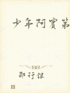 少年阿宾第二部