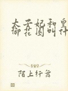 太子妃和皇帝在御花园叫什么小说封面