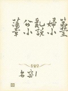 荡公乱妇第51章小说小莹封面