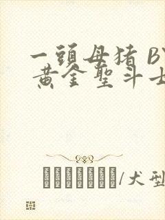 一头母猪 BY 黄金圣斗士