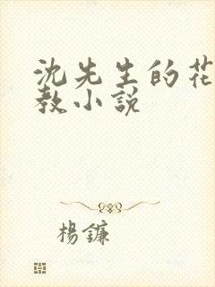 沈先生的花式调教小说